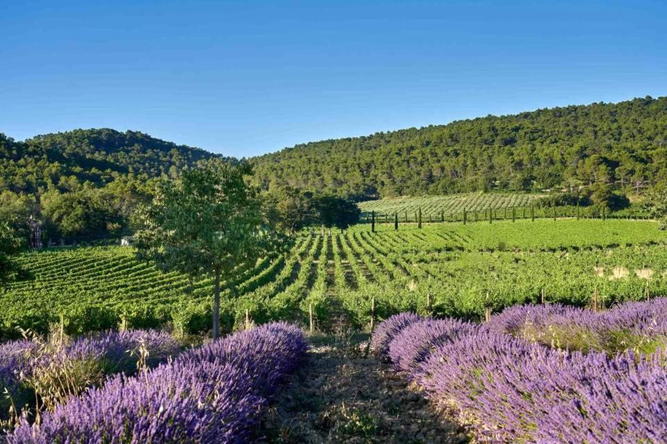 Вилла Gite La Quille - Maison De Hameau En Provence Pour 4 Personnes Avec Jardin Privatif Ле-Пюи-Сент-Репарад Экстерьер фото